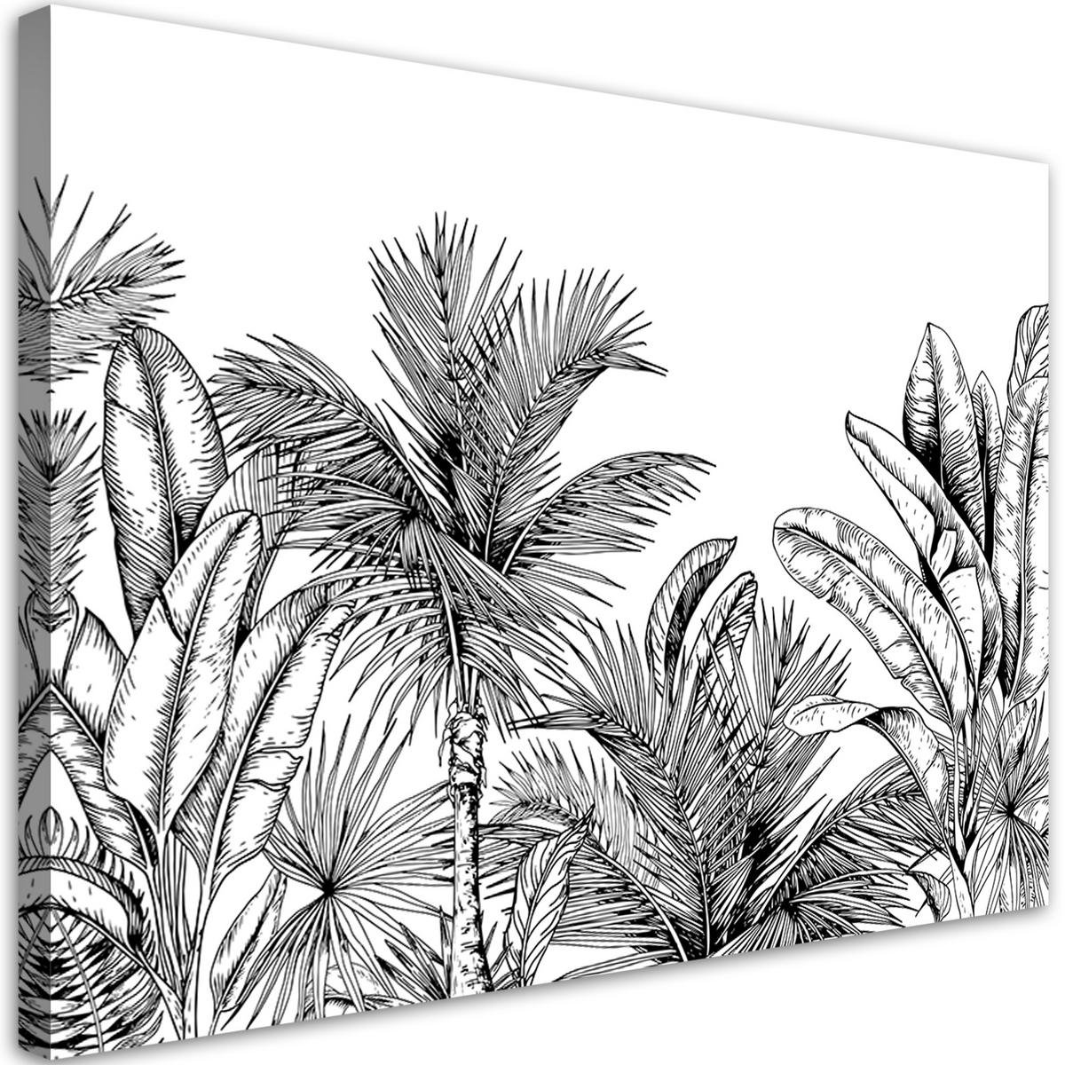 WANDBILD palmen blätter grau pflanzen - Schwarz, Textil (60/40cm) - Feeby