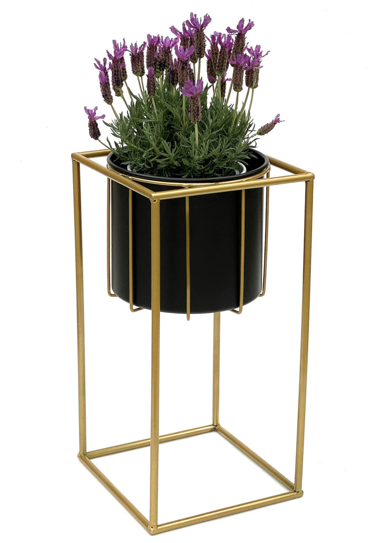 BLUMENSTÄNDER eckig Gold/Schwarz 24/24/45 cm - Gelb, Metall (24/45/24cm) - DanDiBo