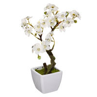 ORCHIDEE im Blumentopf 18/18/26 cm - Weiß, Keramik (26cm) - Atmosphera Createur d´interieur