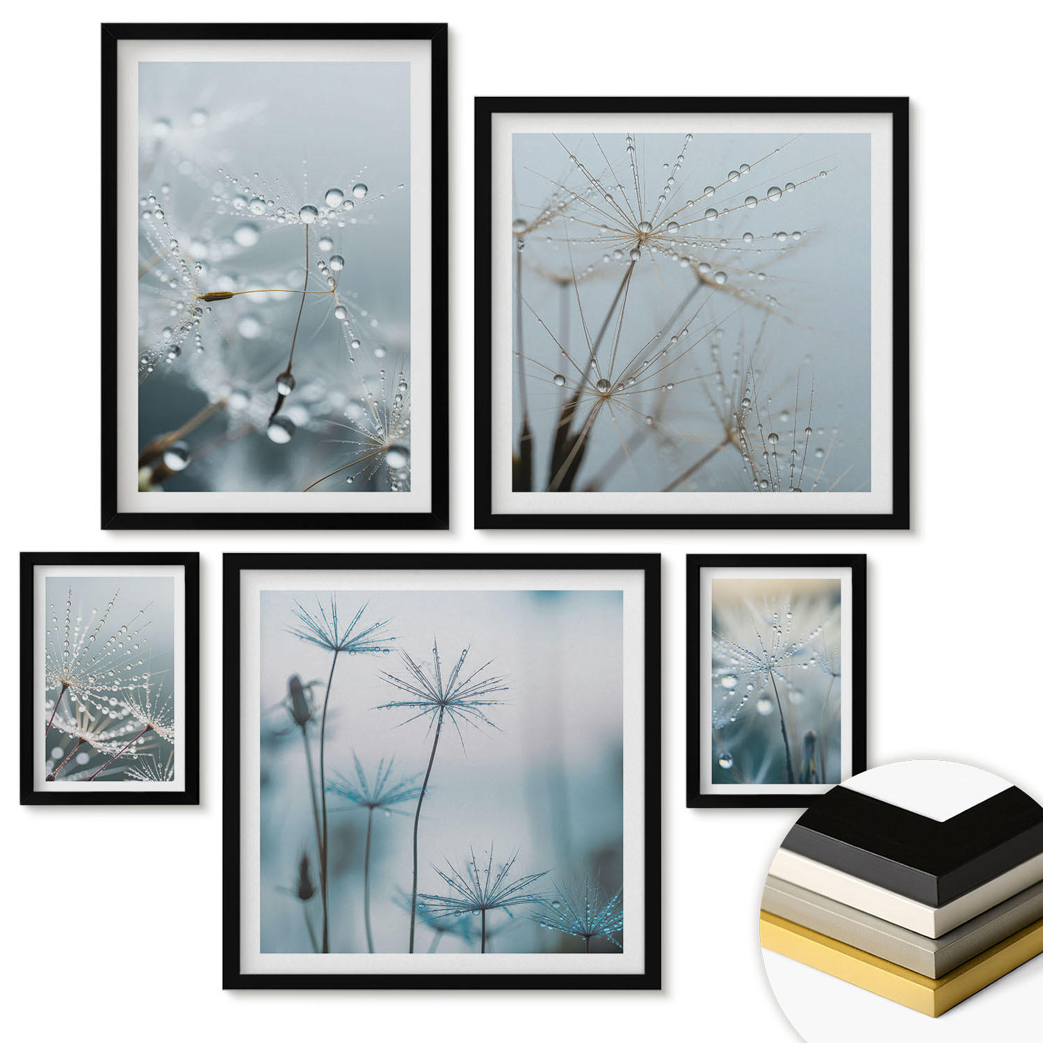 WANDBILDER 5er-Set - 50x50 cm & 20x30 cm & 40x60 cm Schwarzer Rahmen - Wassertropfen auf Löwenzahnsprossen - Schwarz, Kunststoff (40/60cm) - ArtPrintCave