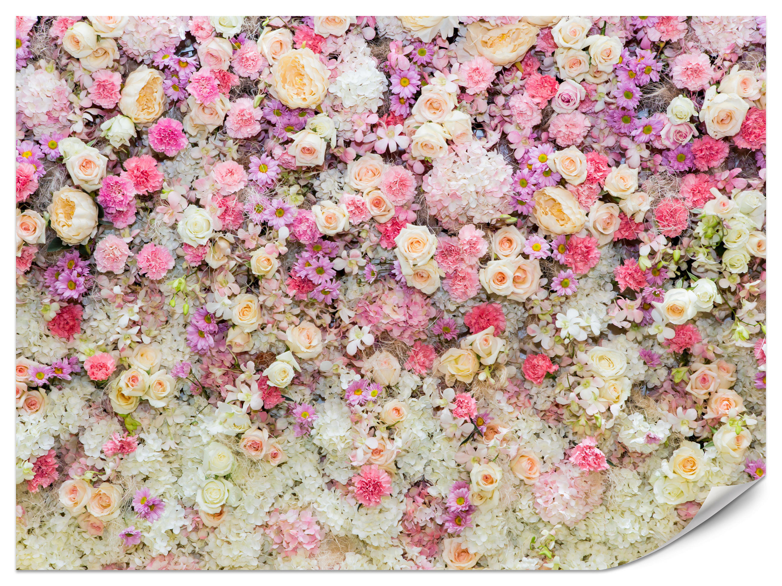 FOTOTAPETE für Schlafzimmer Rosen Pfingstrosen Blumenvielfalt Boho 450x315 - Beige/Gelb, Papier (450/315cm) - Muralo