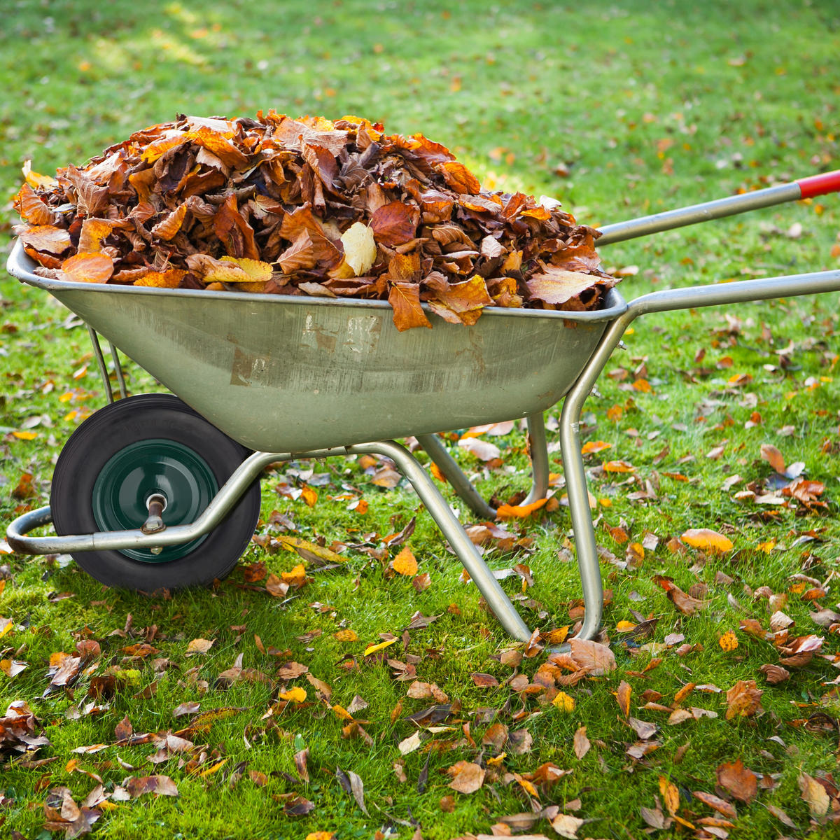 SCHUBKARRENRAD - Multicolor, Kunststoff/Metall (38.5/8.5/38.5cm) - Relaxdays