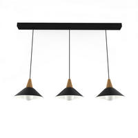 HÄNGELEUCHTE Funnel Linear - Schwarz, Metall (25/100/16cm) - Lumicom
