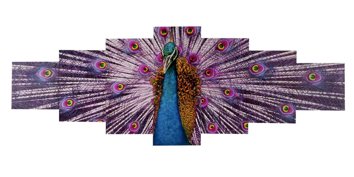 LEINWANDBILD XL PFAU 7-TLG. Multicolor - Multicolor, Holz (245/87cm) - Jamb
