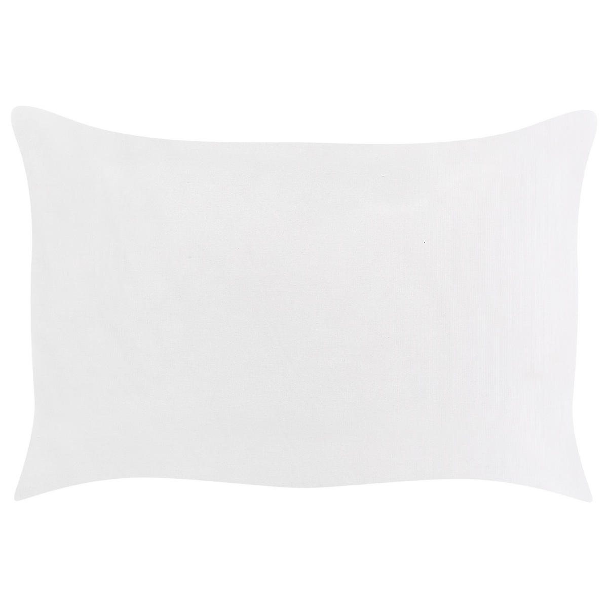 GARTENKISSEN 2er-Set Blumenmuster blau 40/60 cm Apricale - Hellblau, Textil (40/60cm) - Beliani