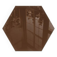 GLASPLATTE für Kamin h40 cm - Braun, Glas (40/40/0.4cm) - TULUP