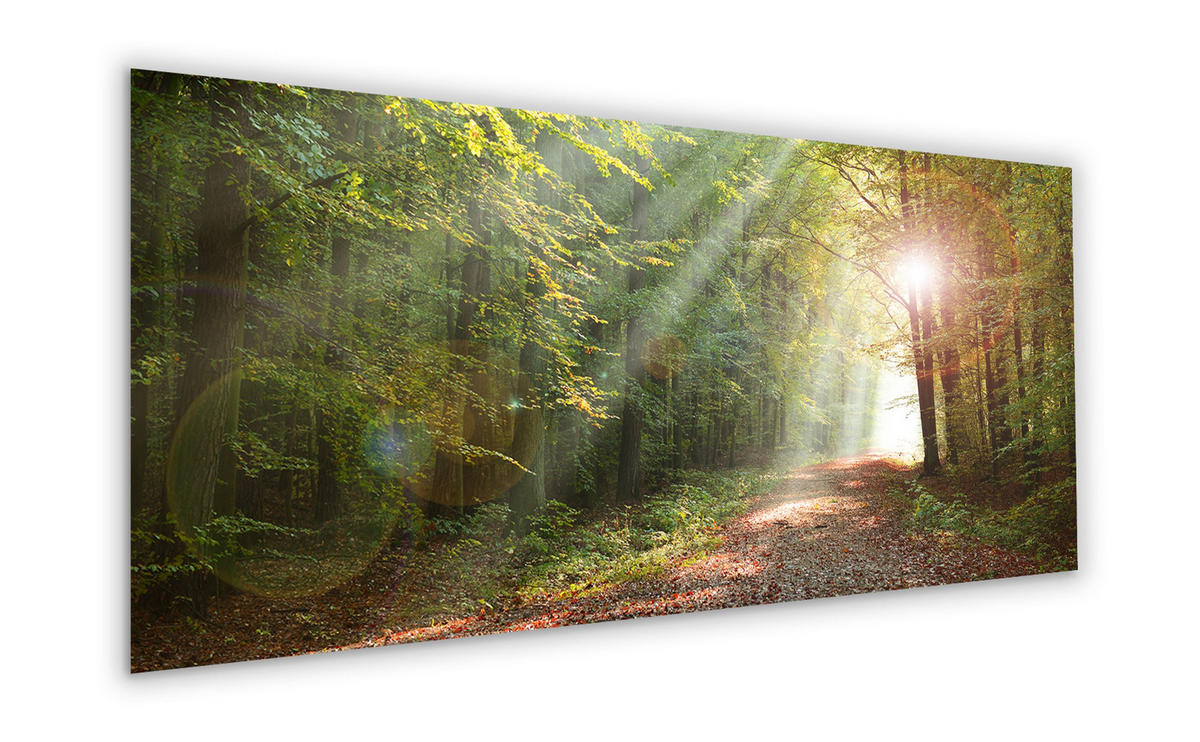 GLASBILD 125x50 cm Landschaft Wald grün - Braun, Glas (125/50cm) - artissimo