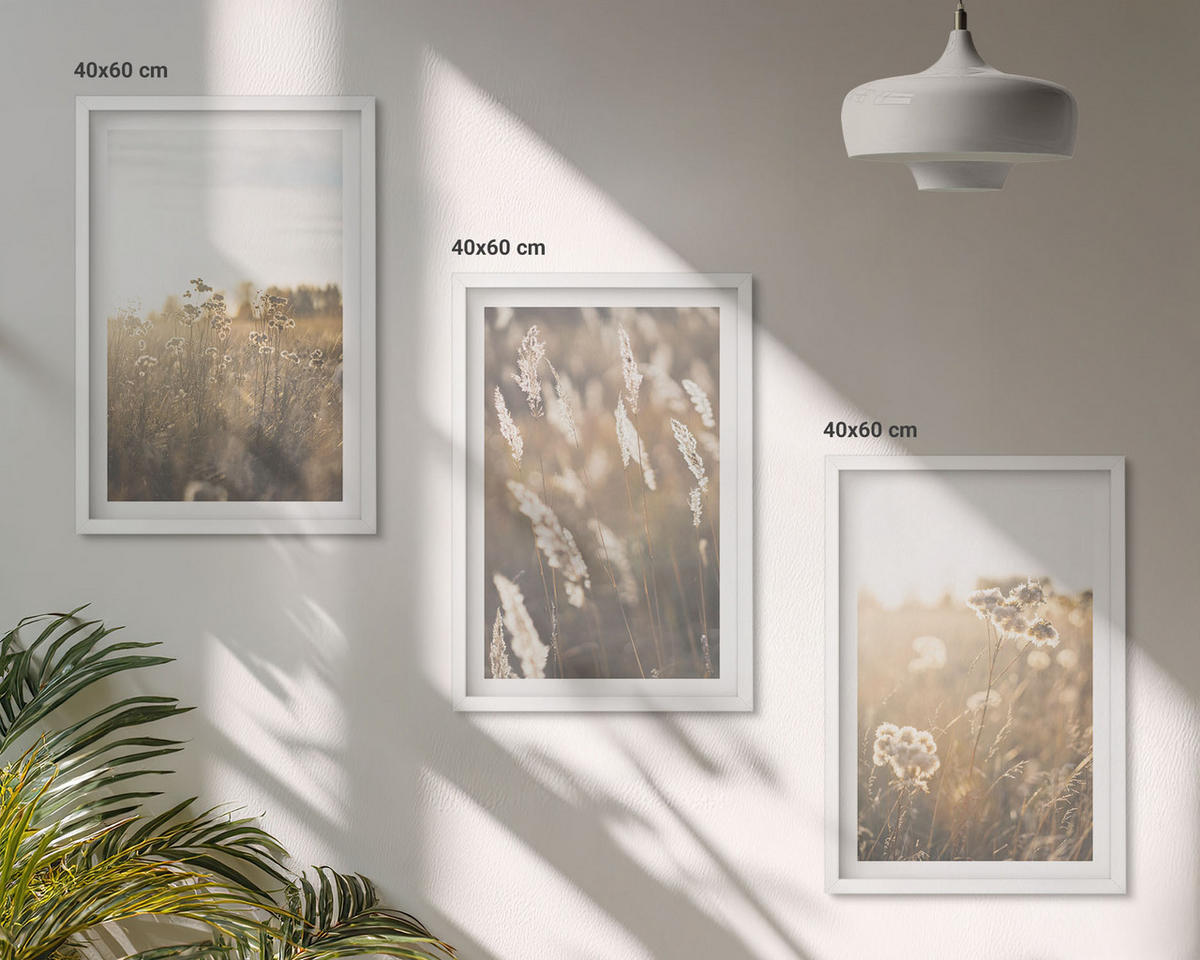 BILDER SET 3er Set - 40x60 cm Weißer Rahmen - Landschaftsgrasblumen Wärme - Weiß, Kunststoff (40/60cm) - TULUP