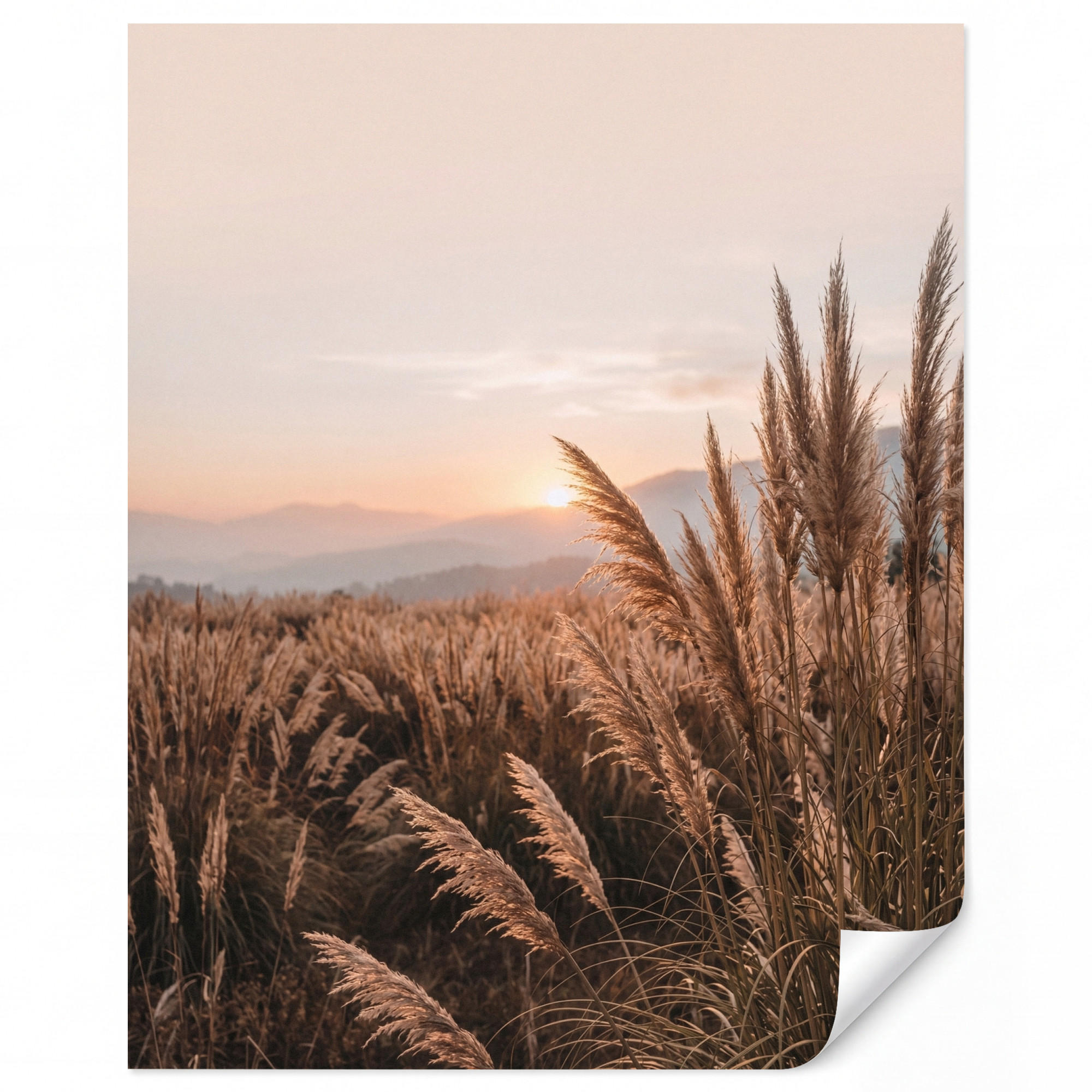 OnlyWow Tapete Sand 200x240 cm