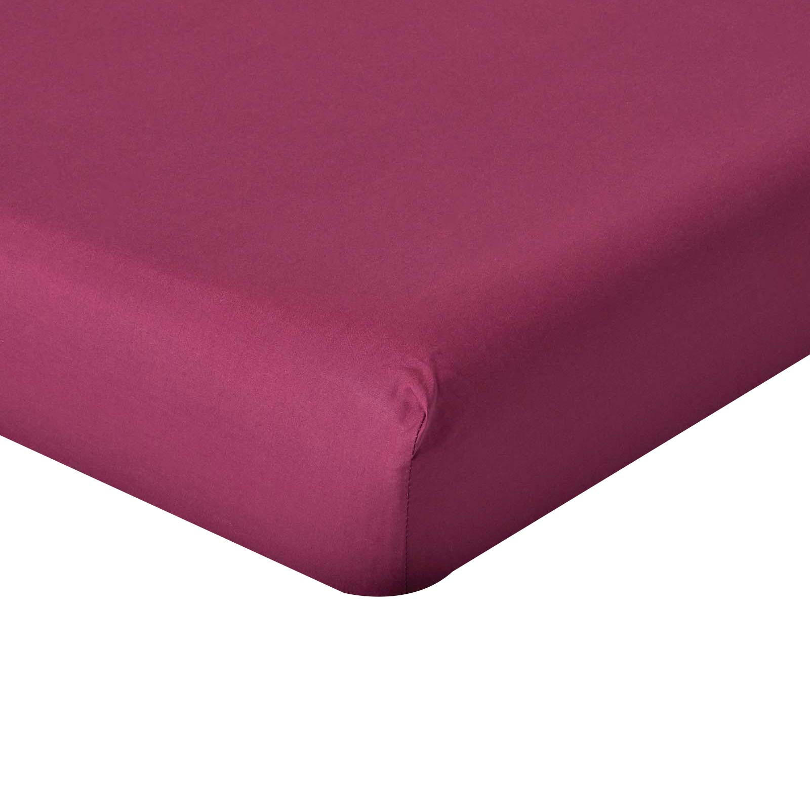 PERKAL-SPANNBETTLAKEN, Ägyptische Baumwolle, Fadendichte 200 - Beere, Textil (120/190cm) - Homescapes