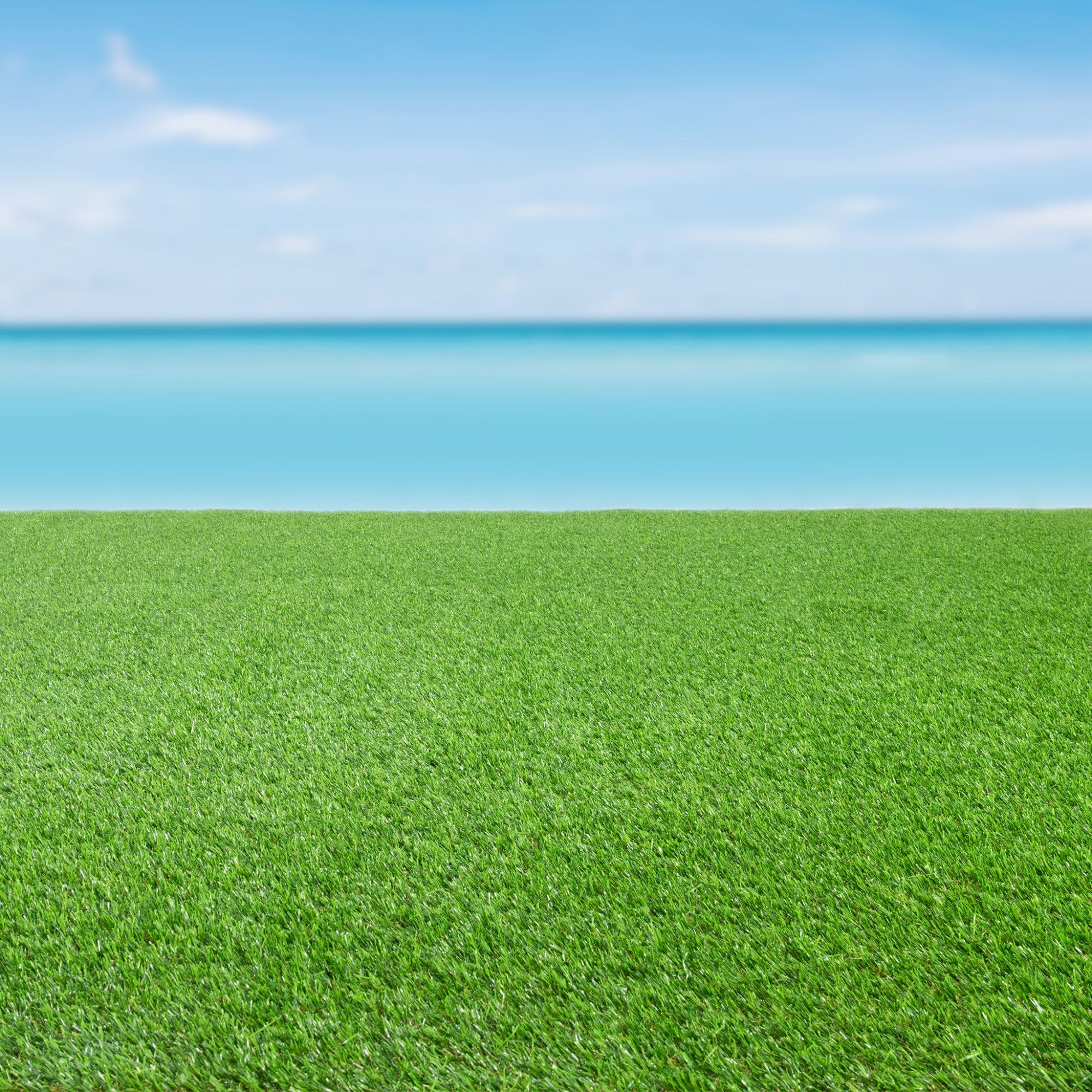 Thumbnail - Steffensmeier Rasenteppich, Grün, Kunststoff, Rechteckig, 300x250 cm, UV-beständig, Gartenzubehör, Terrassen- & Balkonbö...