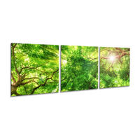 ARTISSIMO Glasbild mehrteilig 150x50cm Bild aus Glas 3-Teiler Wandbild Wald grün - Braun, Glas (150/50cm) - artissimo
