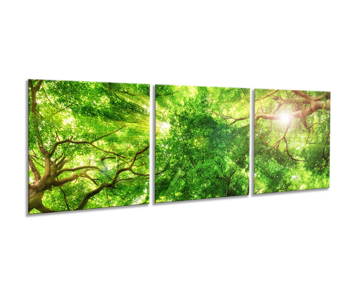 ARTISSIMO Glasbild mehrteilig 150x50cm Bild aus Glas 3-Teiler Wandbild Wald grün - Braun, Glas (150/50cm) - artissimo