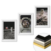 WANDBILDER 3er-Set - 20x30 cm Weißer Rahmen - NASA-Mondlandung - Weiß, Kunststoff (20/30cm) - ArtPrintCave