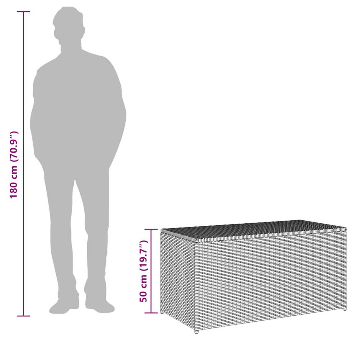 GARTENBOX Poly Rattan 100/50/50 Cm Schwarz - Schwarz, Kunststoff (100/50/50cm) - vidaXL