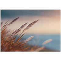 FOTOTAPETE Gras Natur Beige 200x140 cm - Multicolor, Papier (200/140cm) - Wallarena