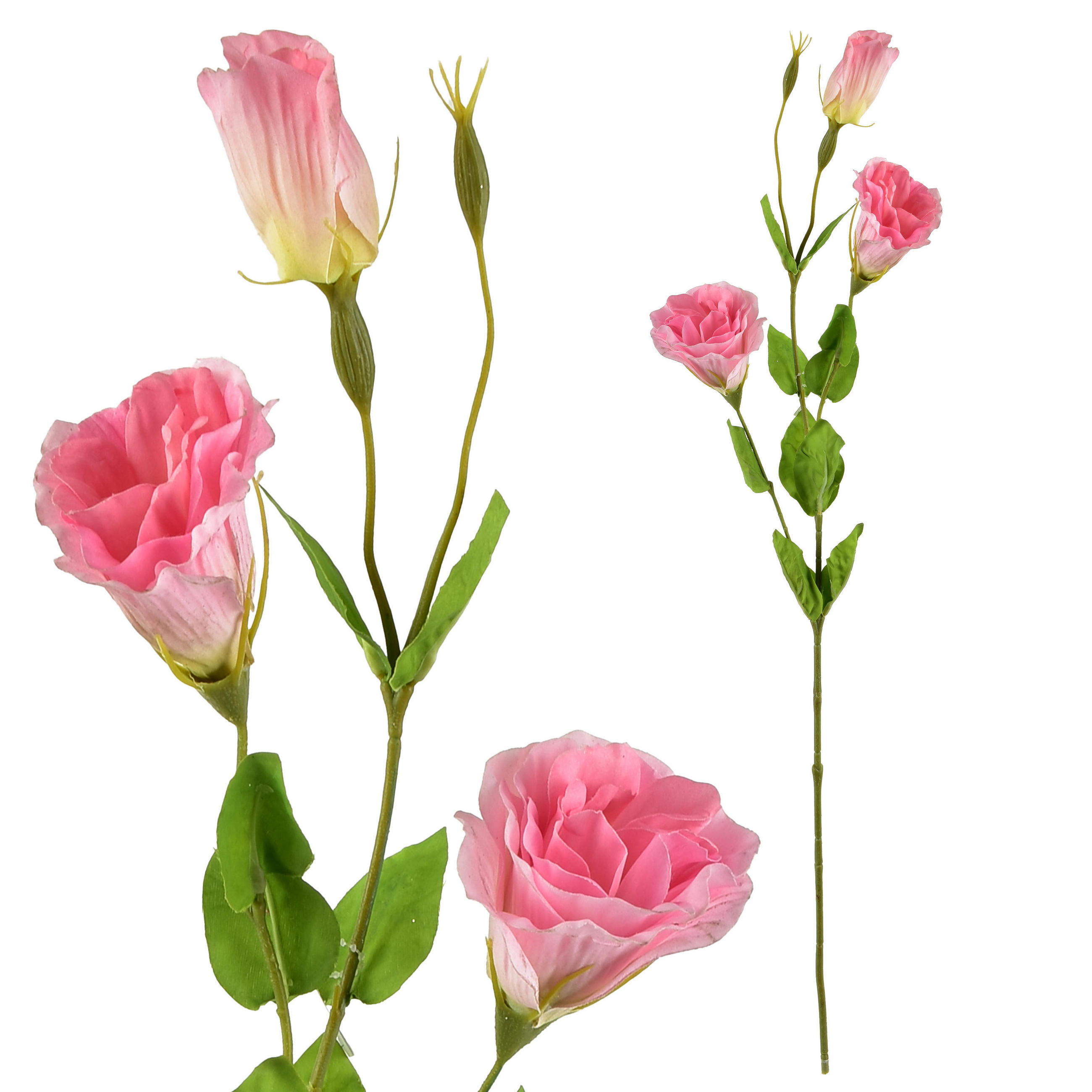 HRNEK, porcelán, béžová - růžová, plast (70cm) - Mondex