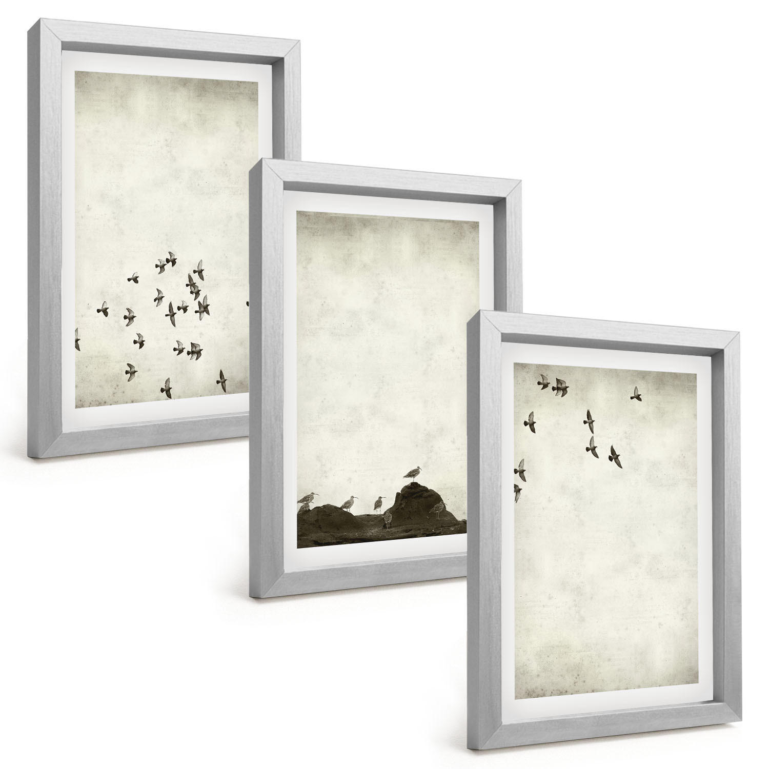 BILDER SET 3er Set - 20x30 cm Silberner Rahmen - Vögel im Flug, minimalistischer Stil - Silberfarben, Kunststoff (20/30cm) - TULUP