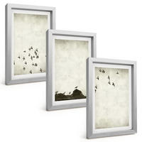 BILDER SET 3er Set - 20x30 cm Silberner Rahmen - Vögel im Flug, minimalistischer Stil - Silberfarben, Kunststoff (20/30cm) - TULUP