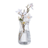 BLUMENVASE - Transparent, Glas (10.5/20cm) - Relaxdays