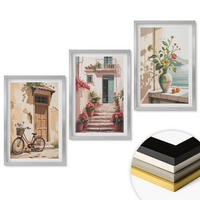 WANDBILDER 3er Set - 40x60 cm Silberner Rahmen - Straßen, Blumen und Fahrräder - Silberfarben, Kunststoff (40/60cm) - ArtPrintCave