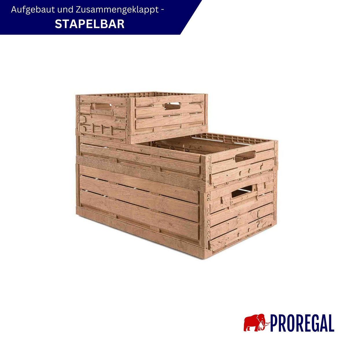 KLAPPBOX Active Lock Holzdekor, HxBxT 21,8x40x60cm,Braun, 44,8 Liter - Braun, Kunststoff (40/21.8/60cm) - PROREGAL