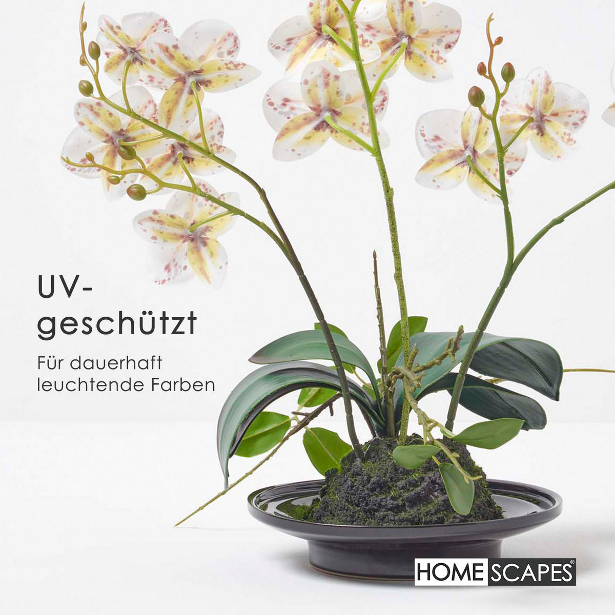 KUNSTBLUME Orchidee weiß-pink in Deko-Schale, 38 cm - Weiß, Kunststoff (38cm) - Homescapes