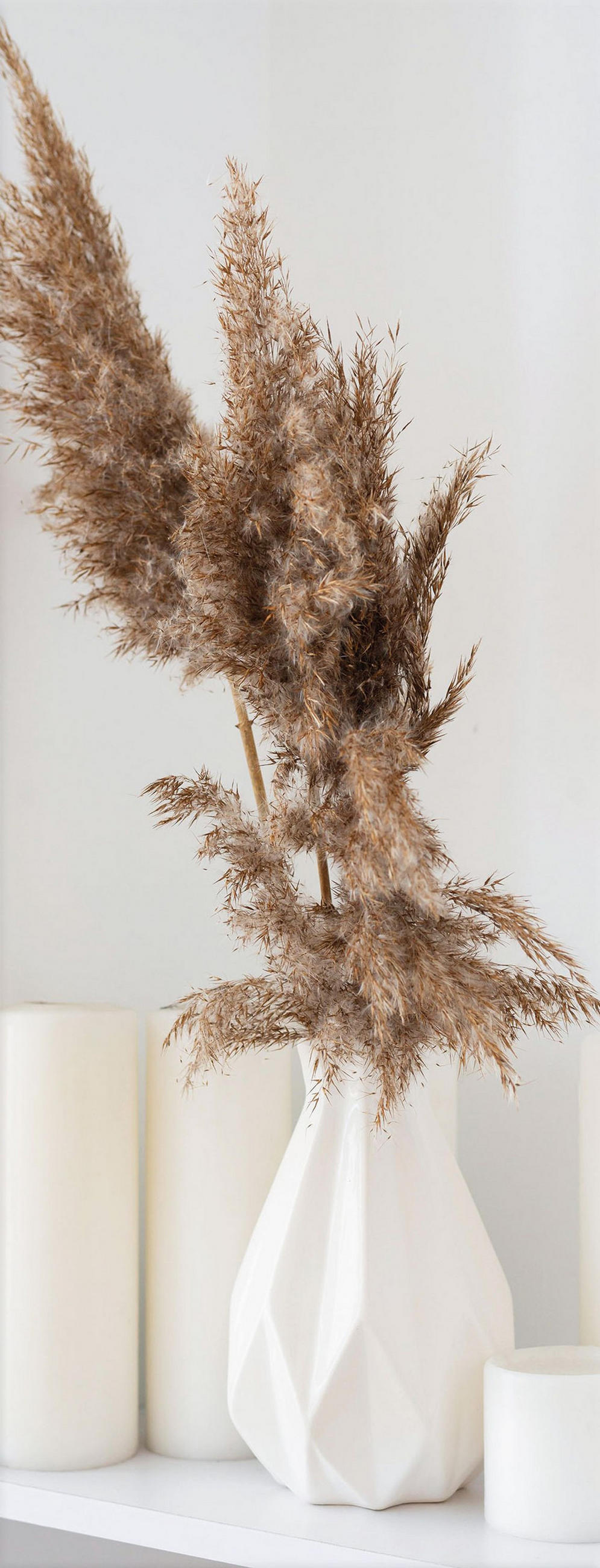 GLASBILD 30x80 cm Stillleben beige weiß - Beige, Glas (30/80cm) - artissimo