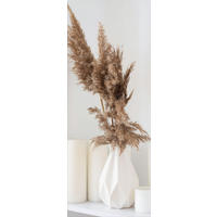 GLASBILD 30x80 cm Stillleben beige weiß - Beige, Glas (30/80cm) - artissimo