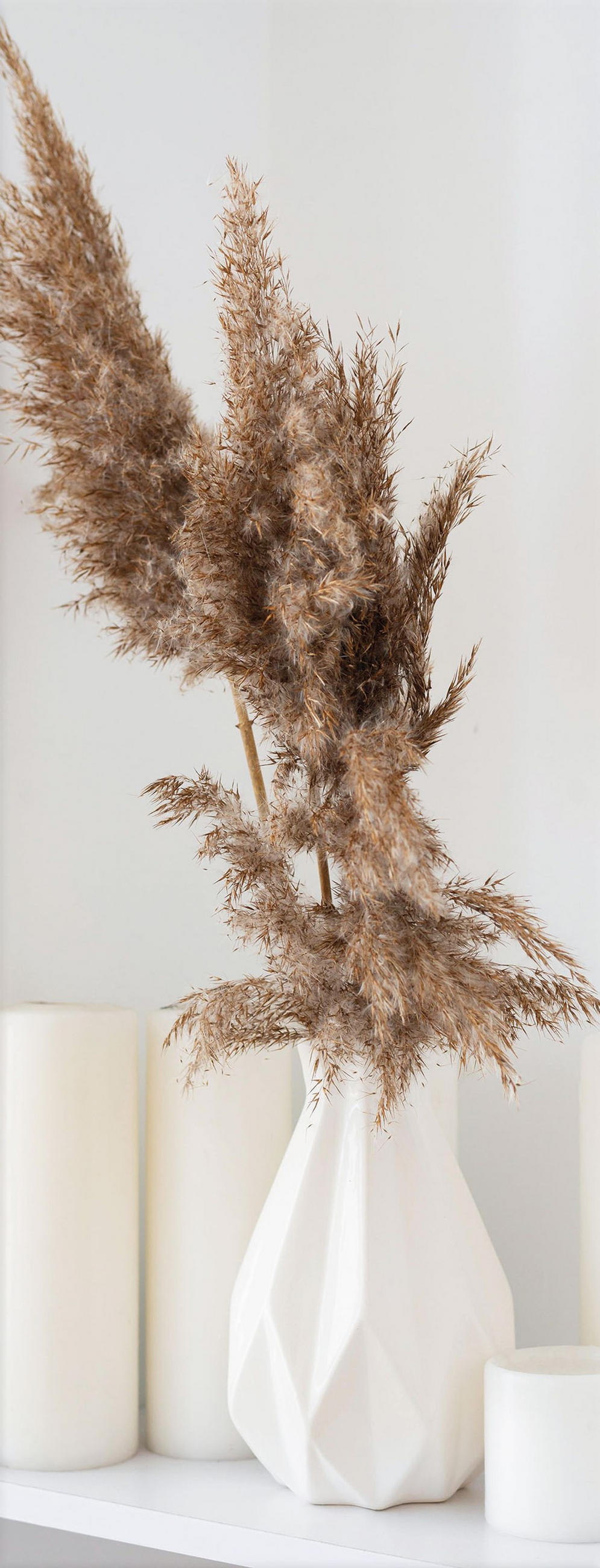 GLASBILD 30x80 cm Stillleben beige weiß - Beige, Glas (30/80cm) - artissimo