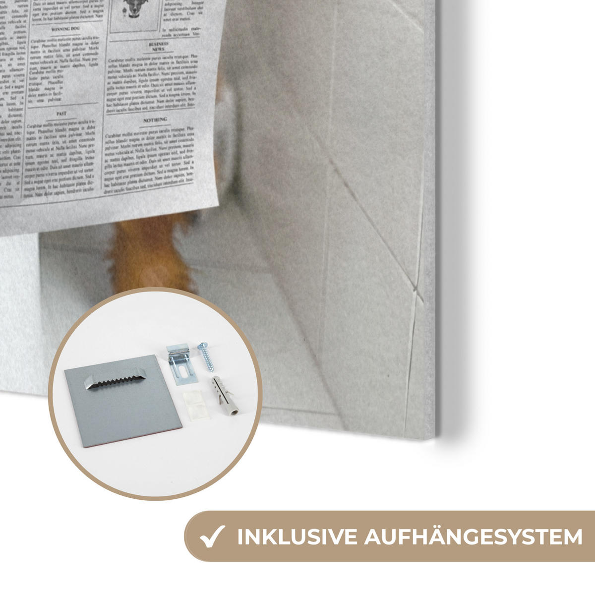 AKUSTIKPANEEL Schottisches Hochlandrind - Tier - Zeitung - Toilette 70x100 cm - Kastanienfarben, Textil (70/0.9/100cm) - MuchoWow