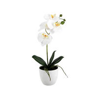 KÜNSTLICHE Orchidee - Han 36 cm - Weiß, Kunststoff (35cm) - aplanta