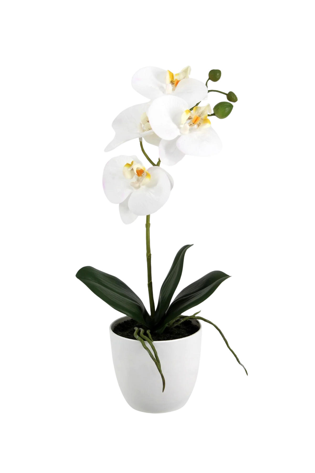 KÜNSTLICHE Orchidee - Han 36 cm - Weiß, Kunststoff (35cm) - aplanta