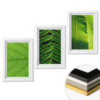 WANDBILDER 3er-Set - 20x30 cm Weißer Rahmen - Makrofotografie von tropischen Blättern - Weiß, Kunststoff (20/30cm) - ArtPrintCave