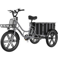 E-BIKE EGO 03S 48V 18Ah großer Front und Heckkorb, max. Zuladung 125 kg - Grau, Metall (66cm) - ELEKGO