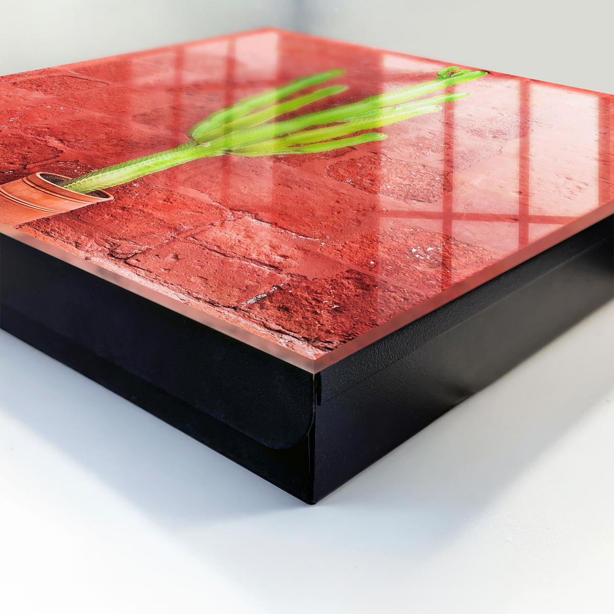 SCHLÜSSELBOX Schwarz 30x30 cm- Türöffnung nach rechts - Grüner Kaktus - Rot, Metall (30/30/5cm) - TULUP