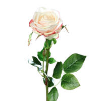 ROSEN Künstliche Rose - Pam 66 cm - Multicolor, Kunststoff (66cm) - aplanta