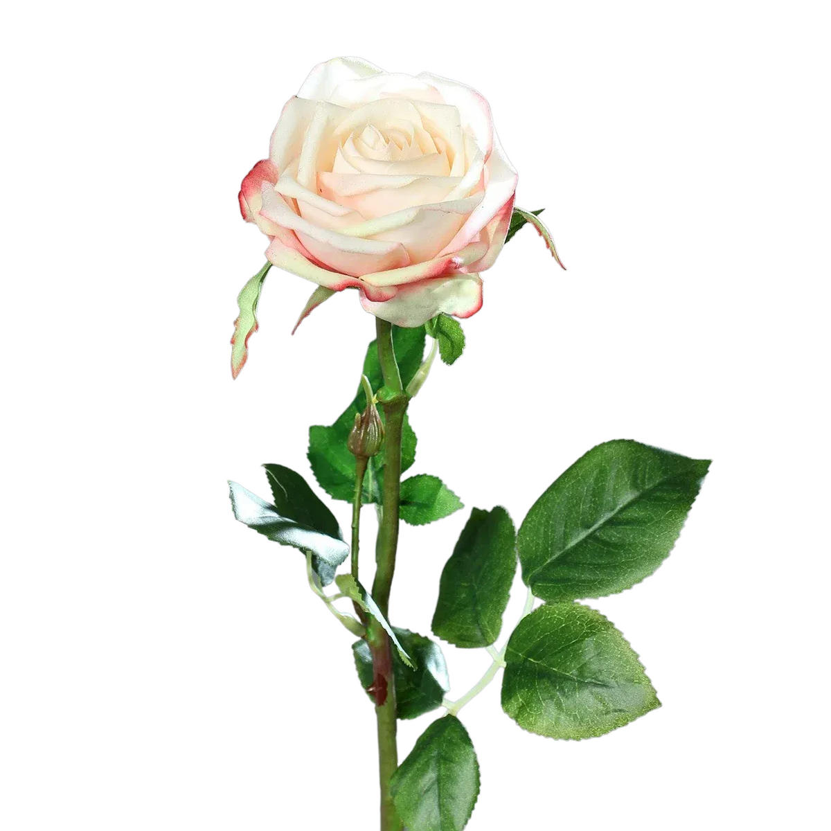 ROSEN Künstliche Rose - Pam 66 cm - Multicolor, Kunststoff (66cm) - aplanta