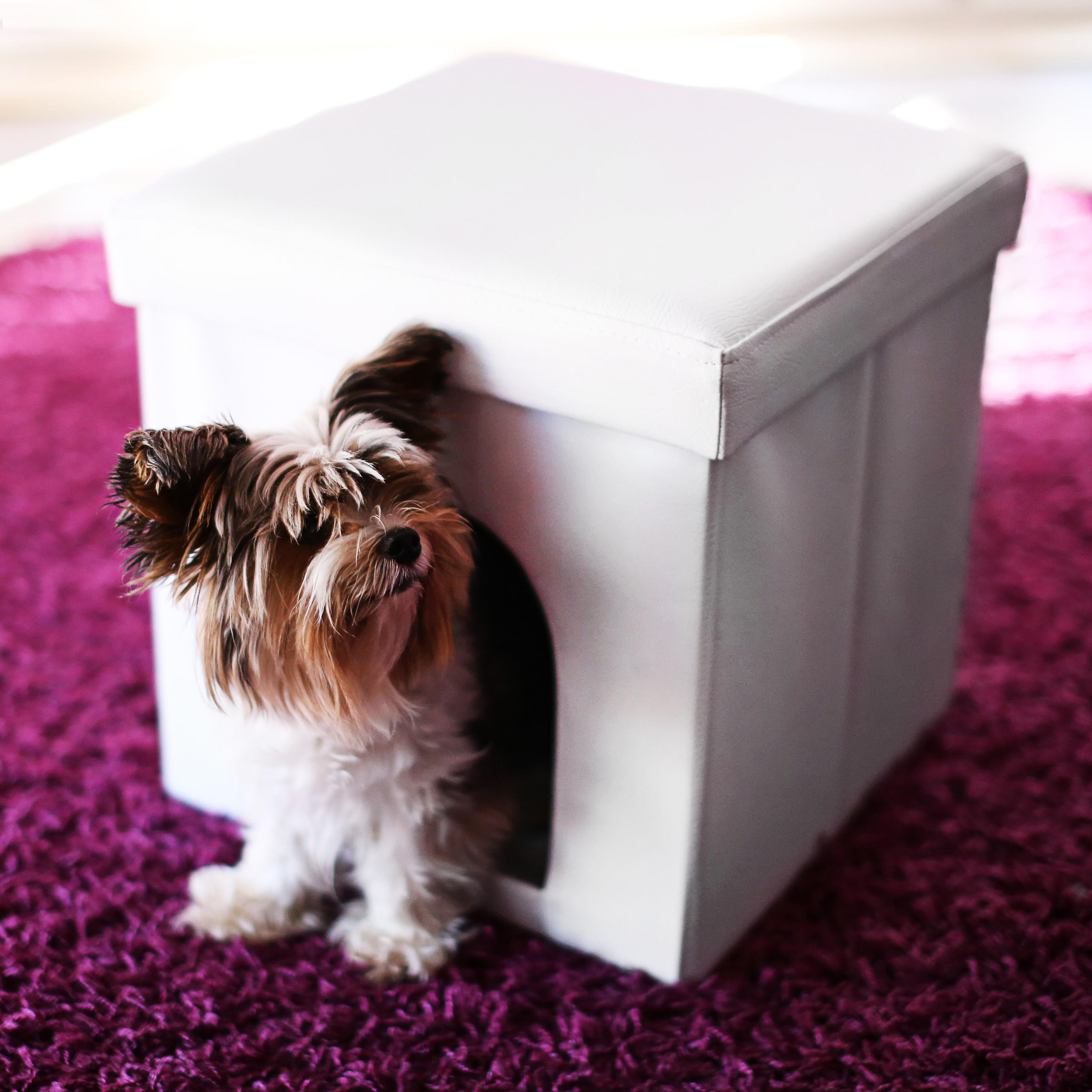HUNDEBOX Sitzhocker - Weiß, Holzwerkstoff/Kunststoff (38/38/38cm) - Relaxdays