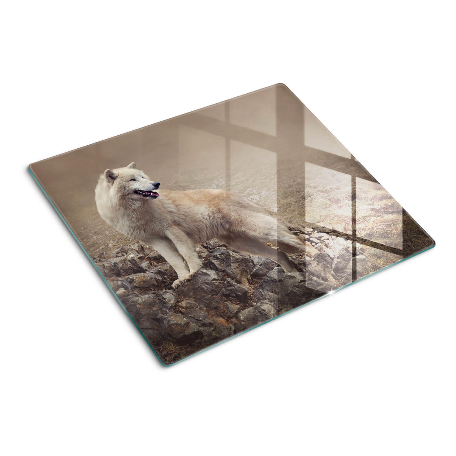 GLASPLATTE 60x52 cm Weißer Wolfsfelsen - Beige, Glas (60/52cm) - TULUP