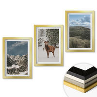 WANDBILDER 3er Set - 20x30 cm Goldrahmen - Berge, Schnee, Hirsche, Waldlandschaft - Goldfarben, Kunststoff (20/30cm) - ArtPrintCave