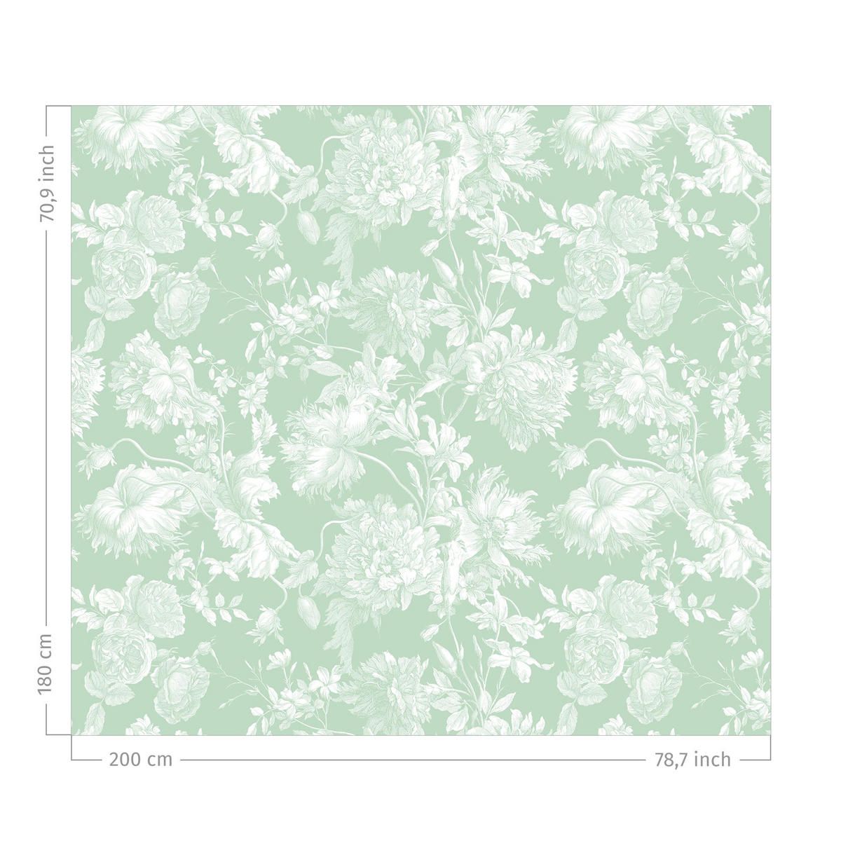 DUSCHVORHANG Floraler Kupferstich Weißgrün 200/180 cm - Grün, Textil (200/180cm) - Bilderwelten