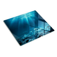 GLASPLATTE 60x52 cm Unterwasserwelt - Blau, Glas (60/0.4/52cm) - TULUP