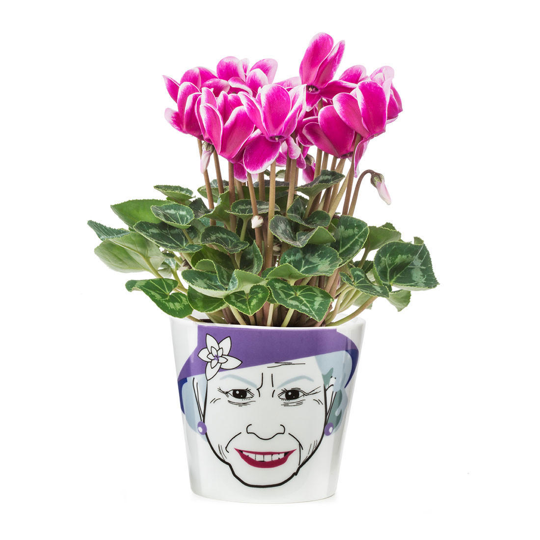 BLUMENTOPF Flower Queen Small, Porzellan, H 10 cm, 210764 - Multicolor, Keramik (10cm)