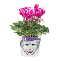 BLUMENTOPF Flower Queen Small, Porzellan, H 10 cm, 210764 - Multicolor, Keramik (10cm)