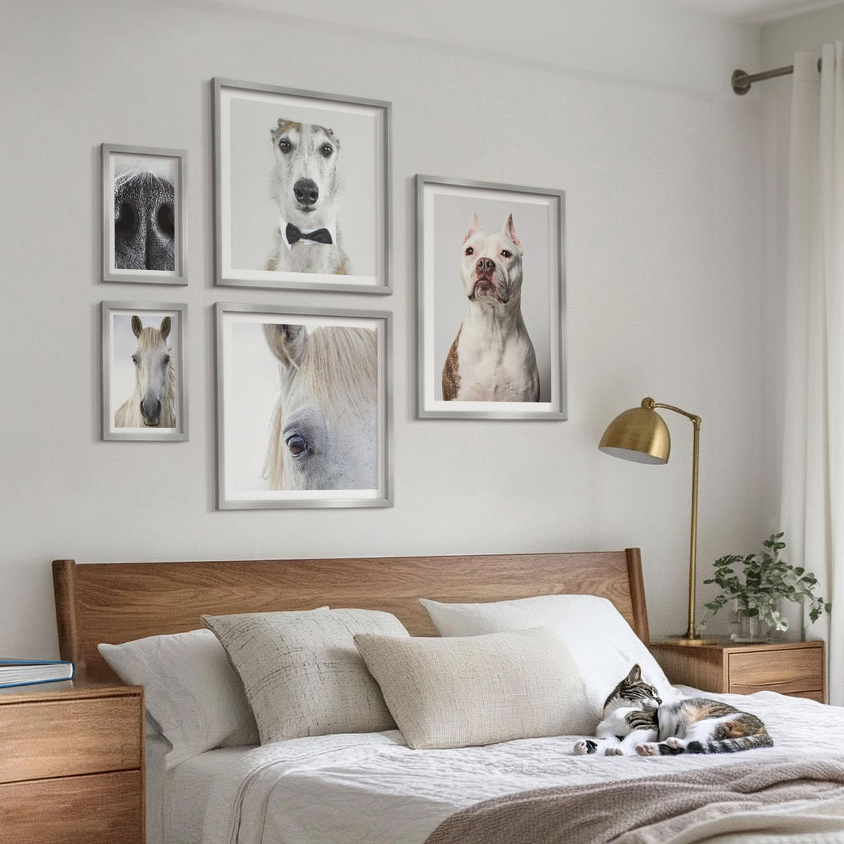 BILDER SET 5er Set - 50x50 cm & 20x30 cm & 40x60 cm Silberner Rahmen - Elegante Porträts von Hunden und Pferden - Silberfarben, Kunststoff (40/60cm) - TULUP