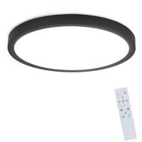 LED-DECKENLEUCHTE Buch 30 cm - Schwarz, Kunststoff (30/30/2.5cm) - Nettlife
