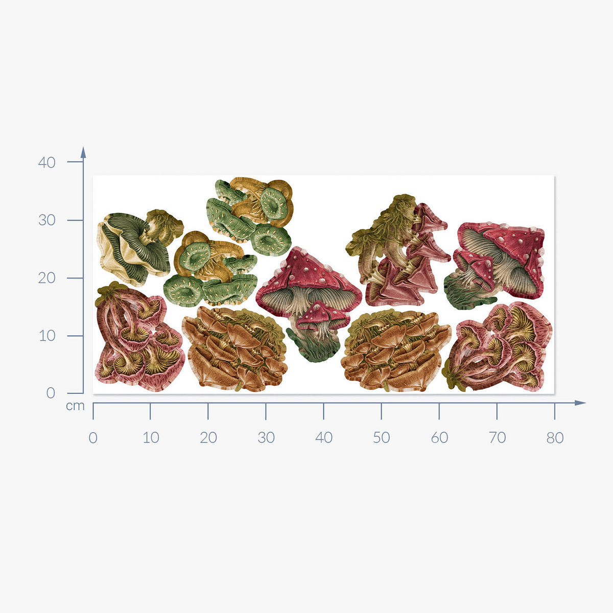 WANDAUFKLEBER 80x38cm - Pilzwiese - Multicolor, Kunststoff (80/38/0.1cm) - Wallfluent