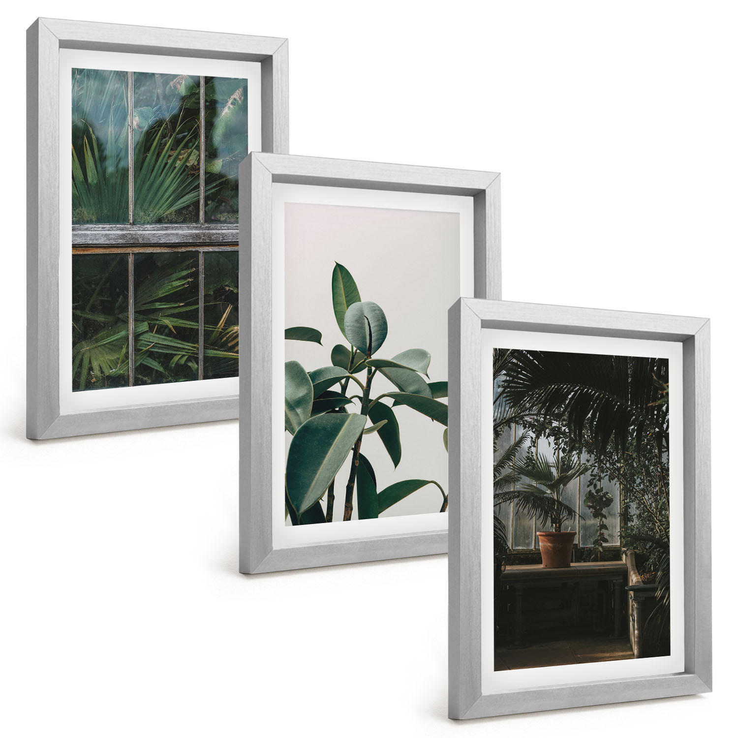BILDER SET 3er Set - 20x30 cm Silberner Rahmen - Grüne Blätter an der Fensterpflanze - Silberfarben, Kunststoff (20/30cm) - TULUP