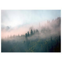 FOTOTAPETE Wald im Nebel Vliestapete Tapete 400x280 - Multicolor, Papier (400/280cm) - Wallarena
